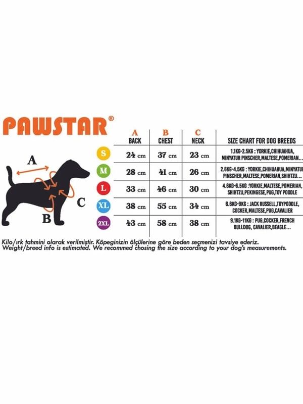 Pawstar Gümüş Brillante Yağmurluk
