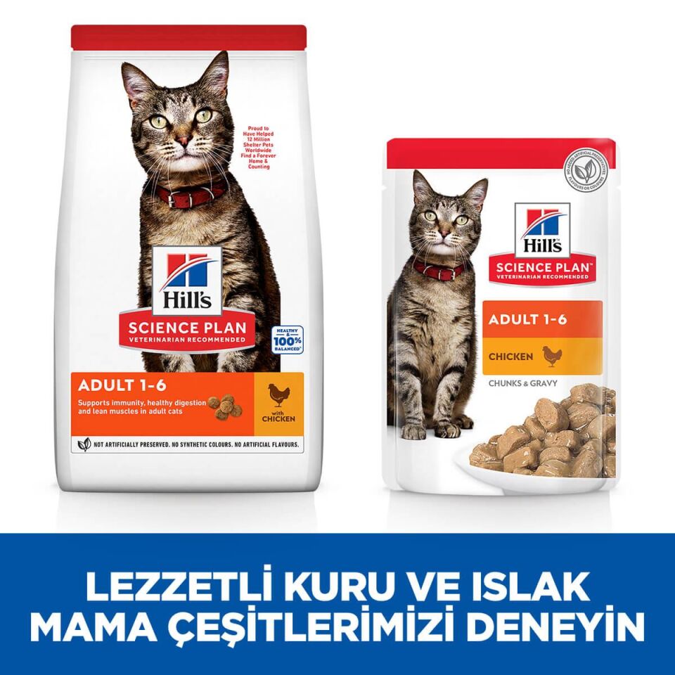 Hills Adult Chicken Tavuklu Yetişkin Kuru Kedi Maması 1.5 Kg