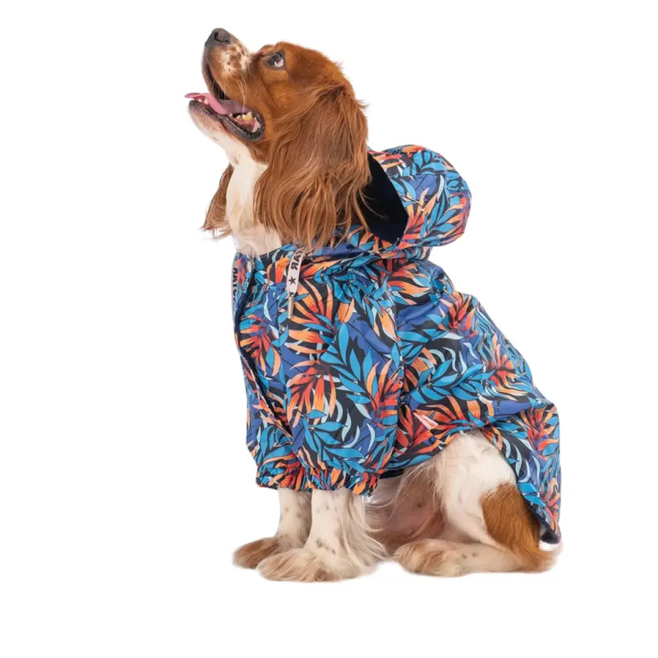 PawStar Autumna Köpek Yağmurluk Küçük Irk