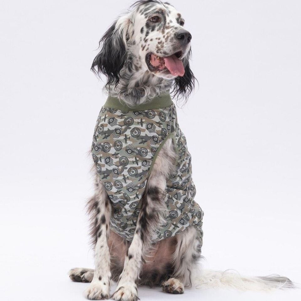 PawStar Air Army T-Shirt Büyük Irk