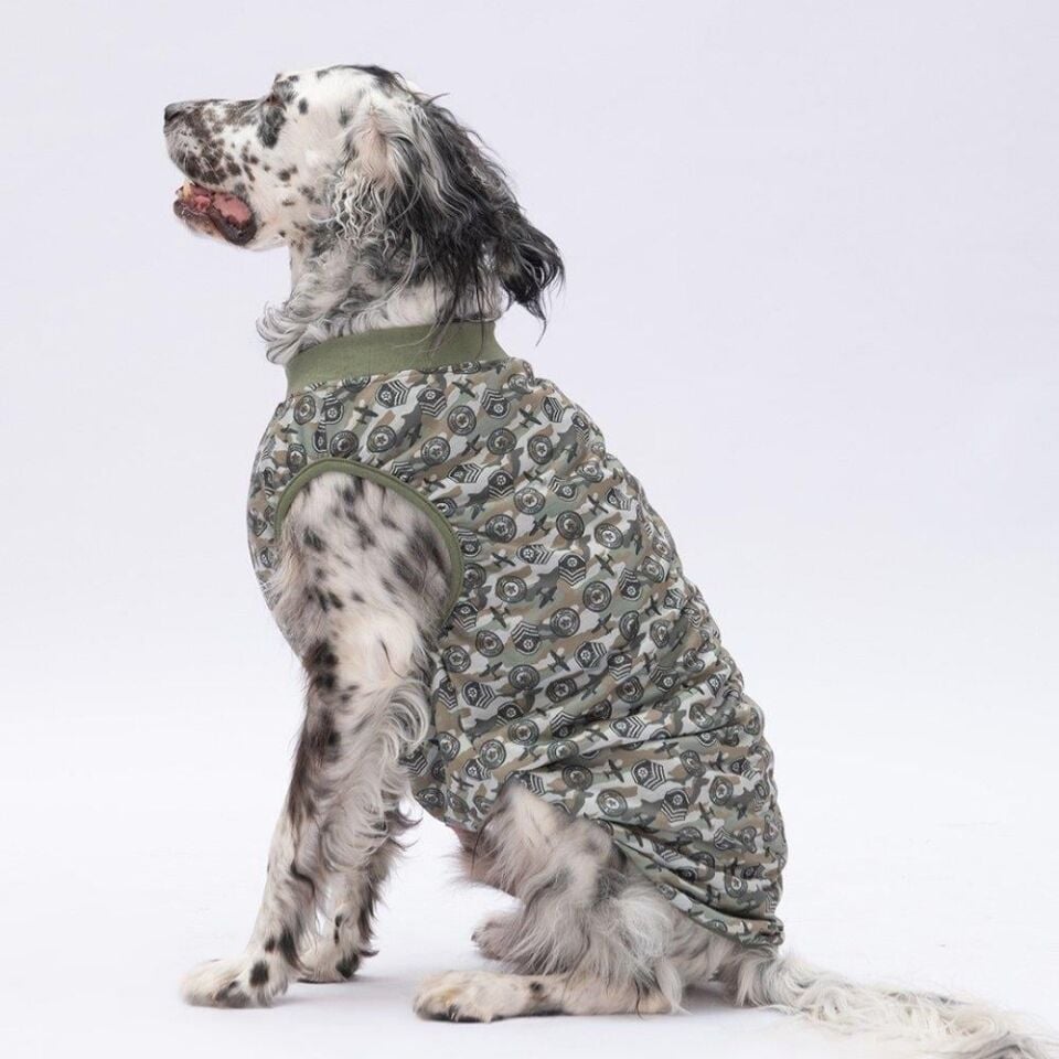 PawStar Air Army T-Shirt Büyük Irk