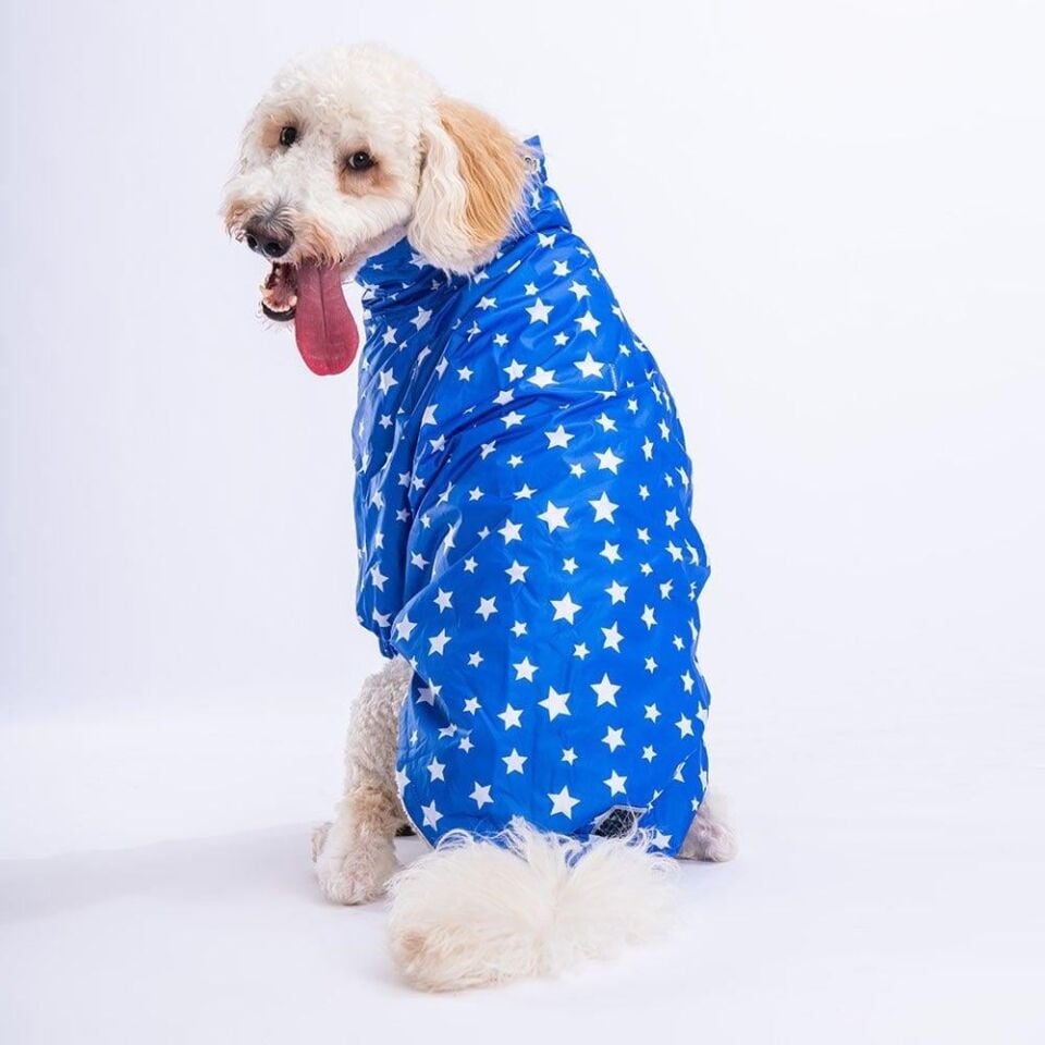 PawStar Mavi Stars Büyük Irk Yağmurluk