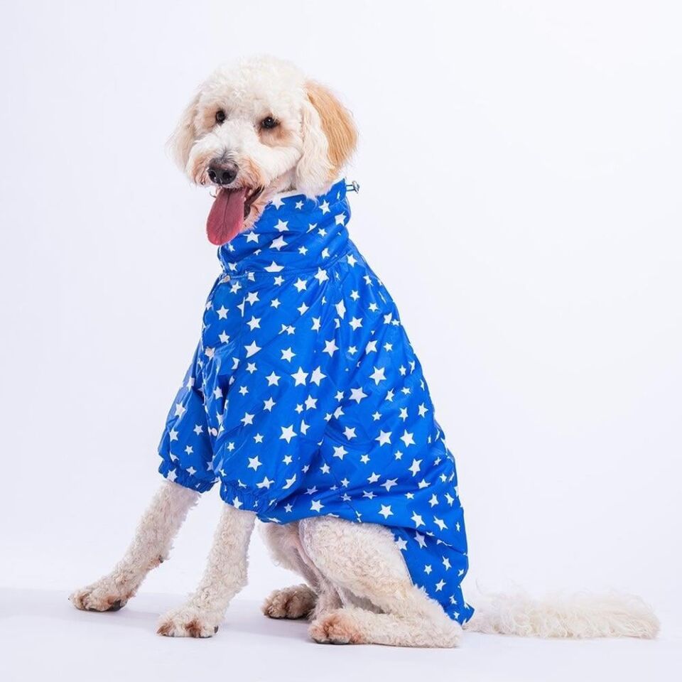 PawStar Mavi Stars Büyük Irk Yağmurluk