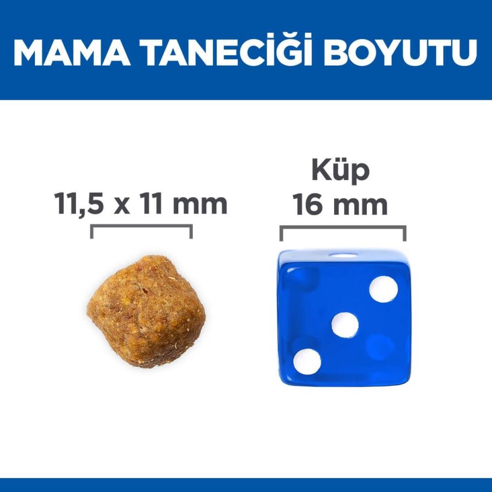 Hills Kuzu Etli Yetişkin Kuru Köpek Kuru Maması 2.5 Kg