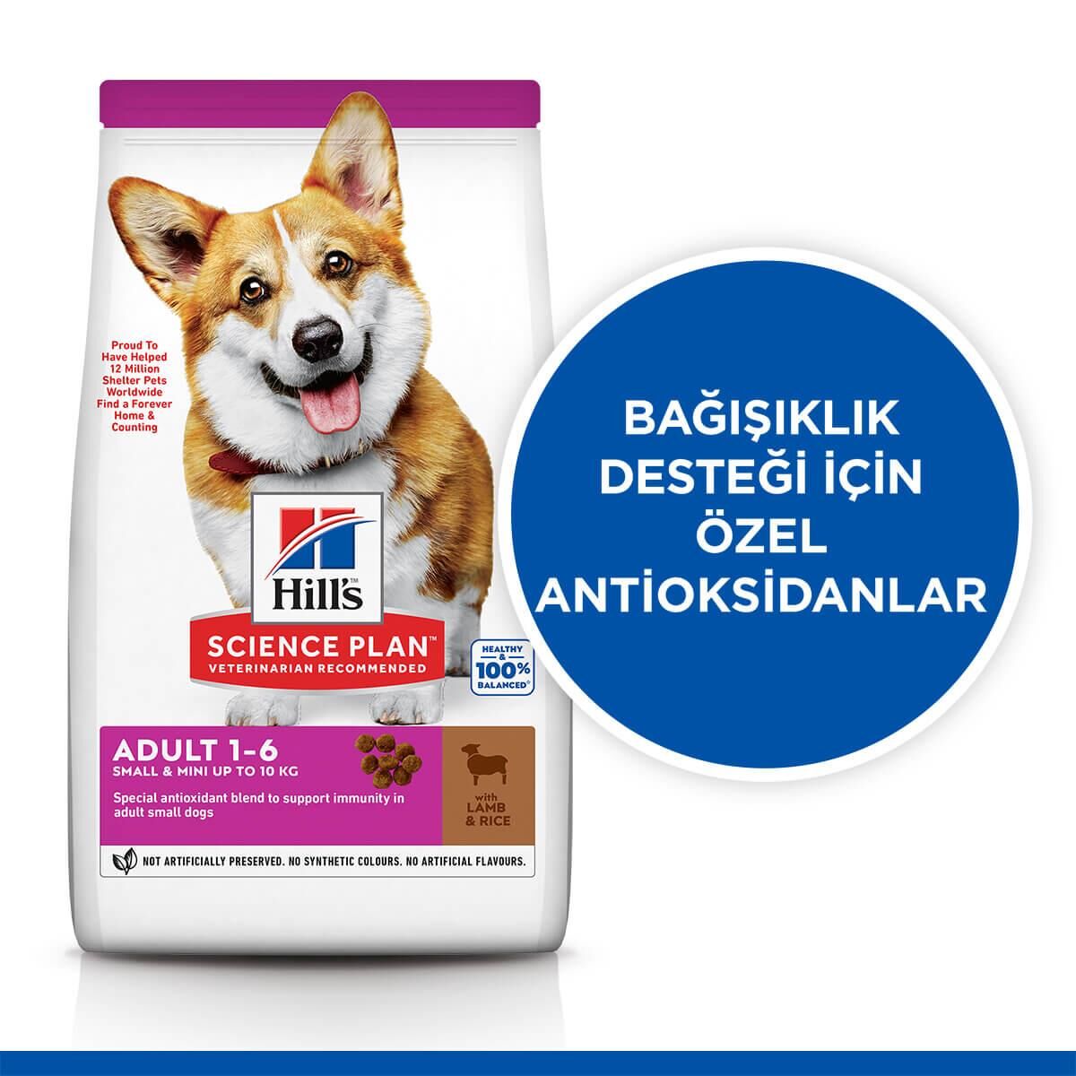 Hills Adult Small Mini Kuzulu Küçük Irk Yetişkin Köpek Maması 1.5 Kg
