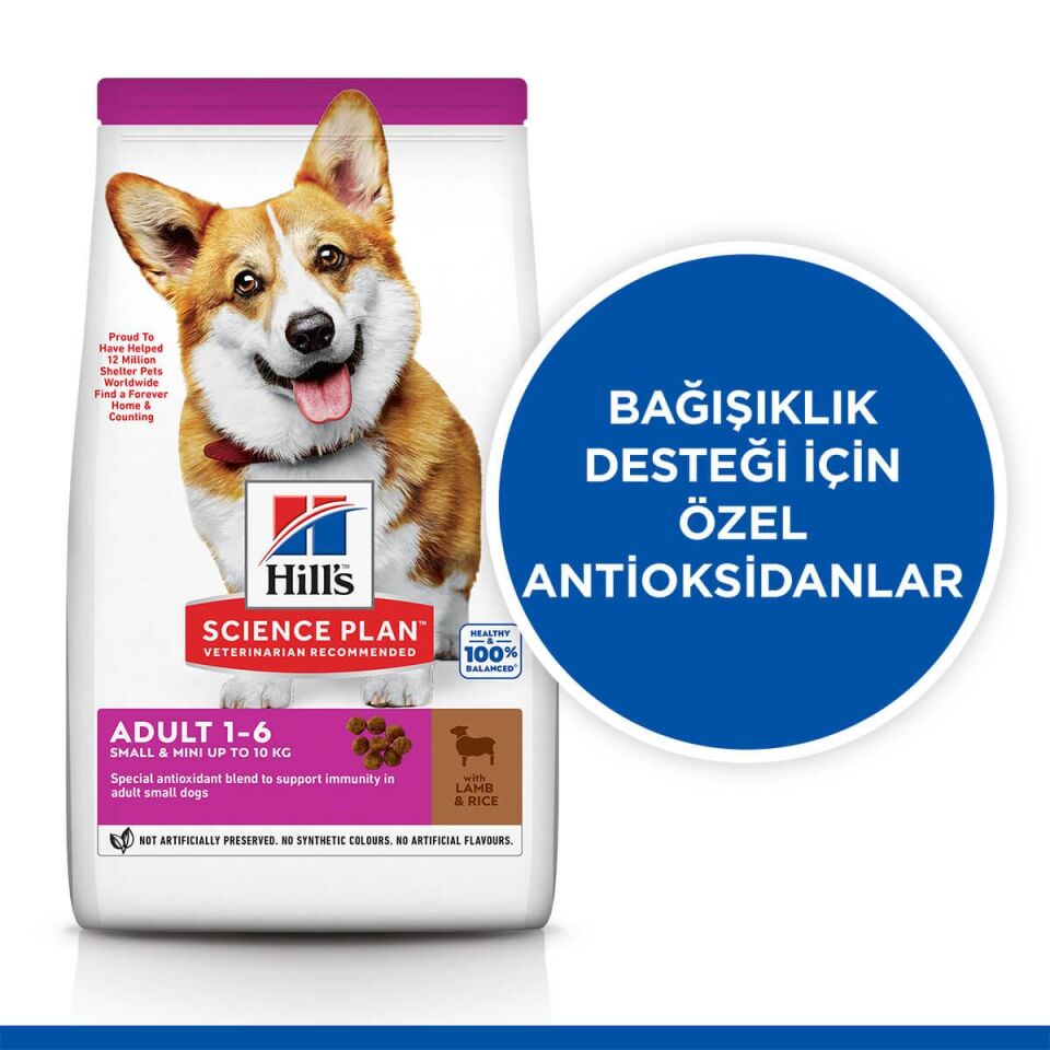 Hills Adult Small Mini Kuzulu Küçük Irk Yetişkin Köpek Maması 1.5 Kg