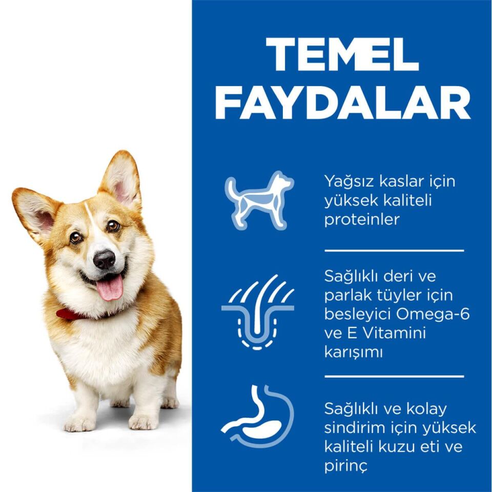 Hills Adult Small Mini Kuzulu Küçük Irk Yetişkin Köpek Maması 1.5 Kg