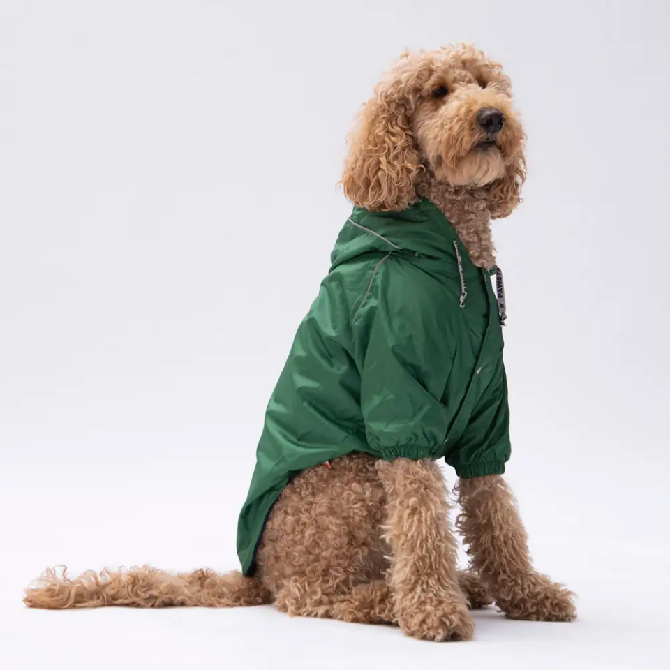 Pawstar Büyük Irk Köpek Yağmurluğu Kapşonlu Yeşil Pluvia