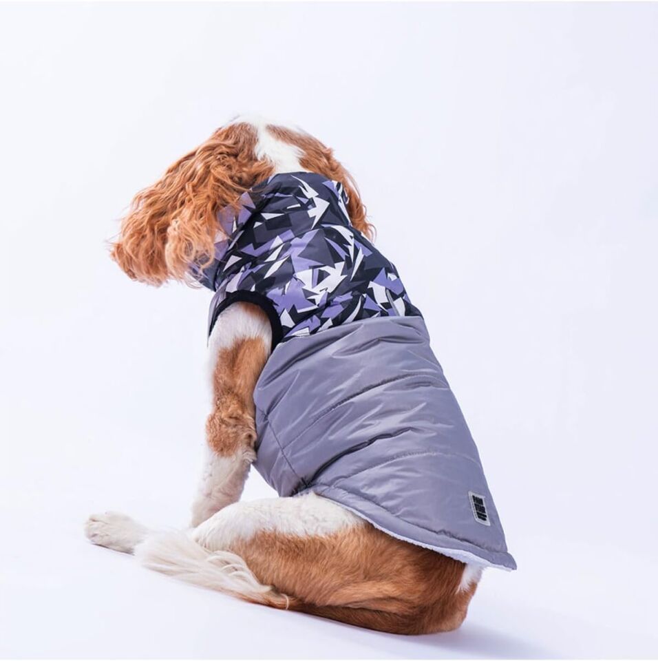 Pawstar Gri Diametro Su Geçirmez Küçük Irk Köpek Yağmurluğu