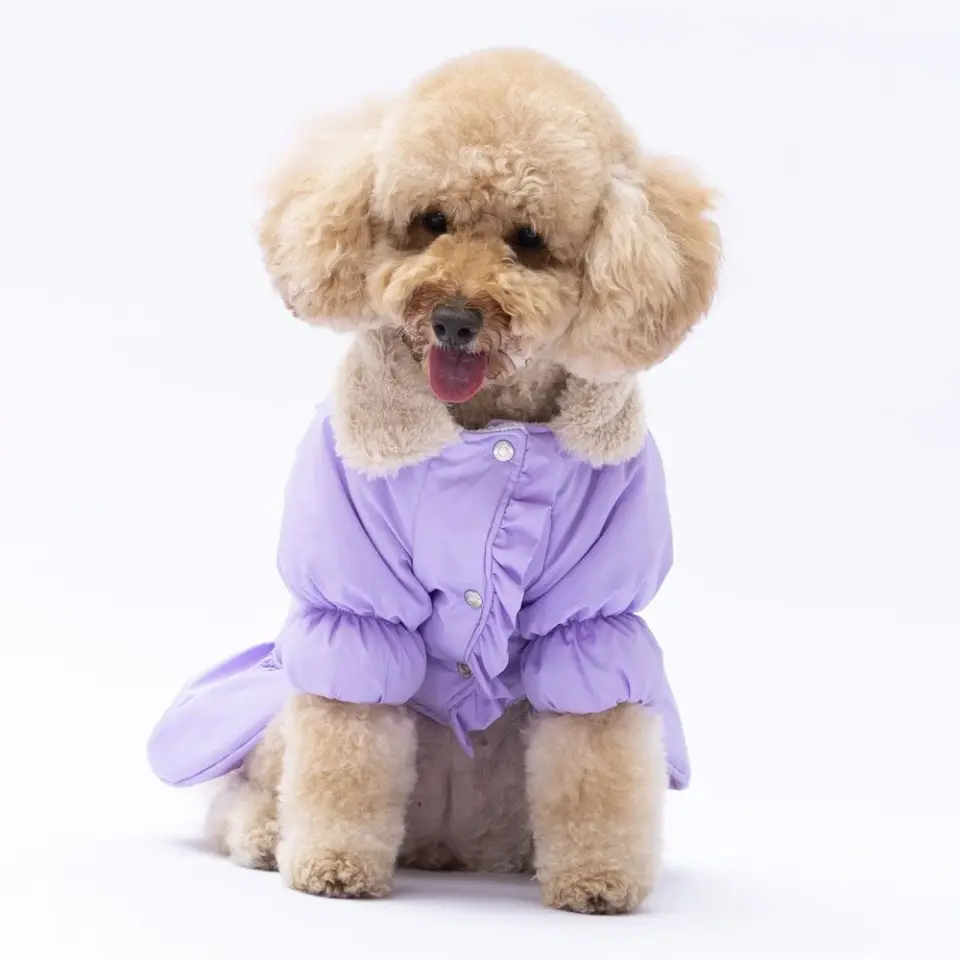 PawStar Lila Elizabeth Yağmurluk Küçük ve Orta Irk