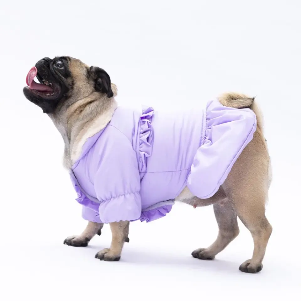 PawStar Lila Elizabeth Yağmurluk Küçük ve Orta Irk