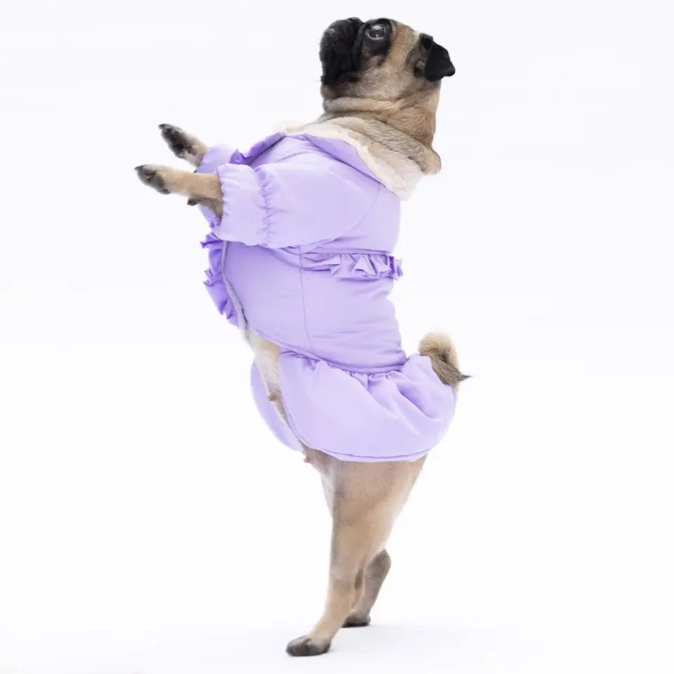 PawStar Lila Elizabeth Yağmurluk Küçük ve Orta Irk
