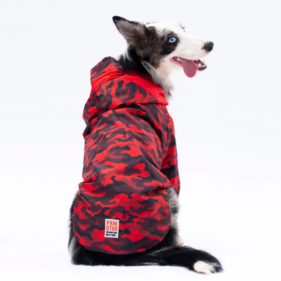 Pawstar Kırmızı Dijon Büyük Irk Yağmurluk