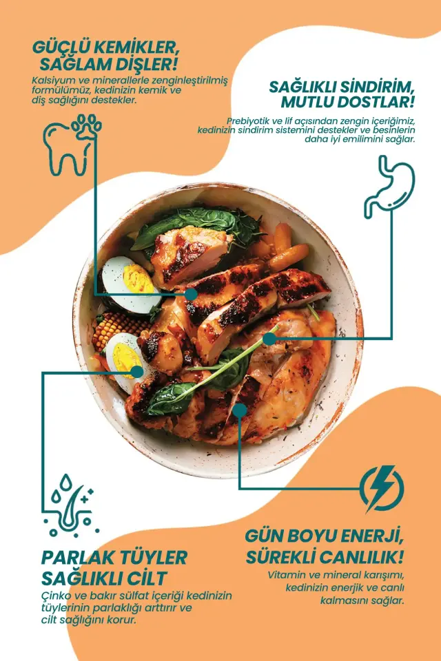 Tavuklu Kısır Yetişkin Kedi Maması 2 KG