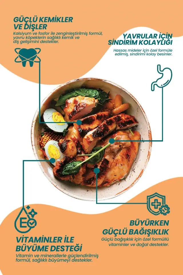 Tavuklu Yavru Kedi Maması 2 KG