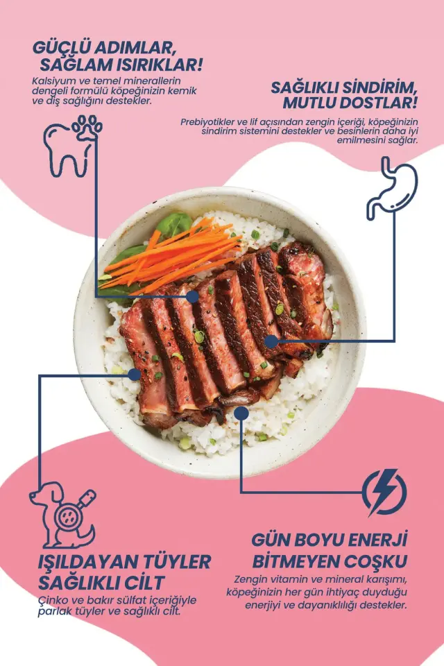 Pawpal Kuzu Eti ve Pirinçli Yetişkin Köpek Maması 3 Kg