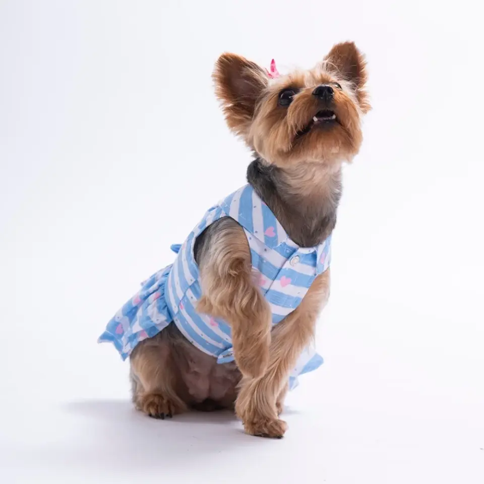 Pawstar Ocean Love Elbise