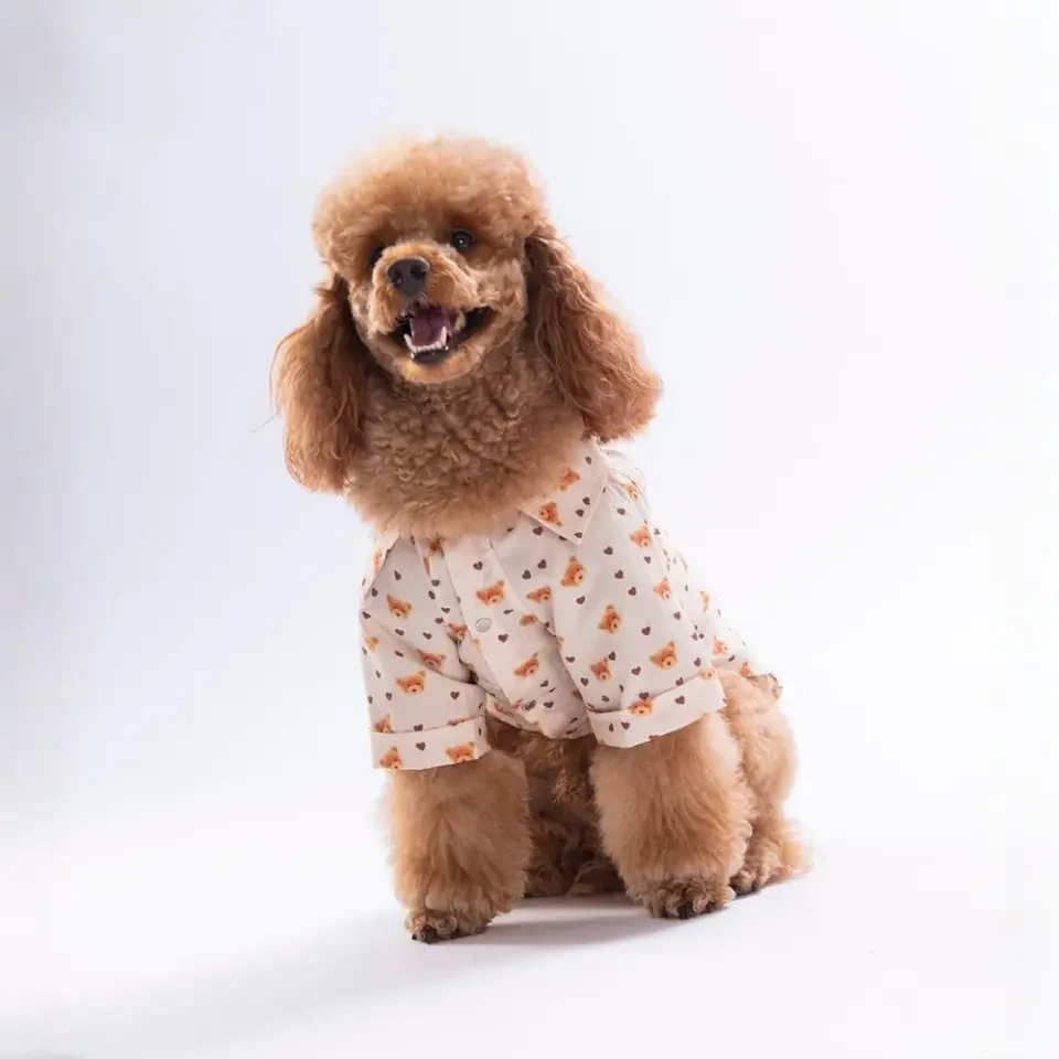 Pawstar Teddy Belle Desenli Gömlek