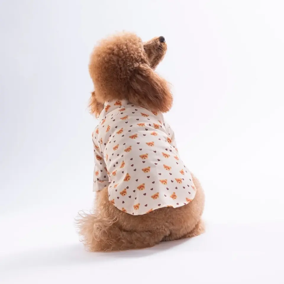 Pawstar Teddy Belle Desenli Gömlek