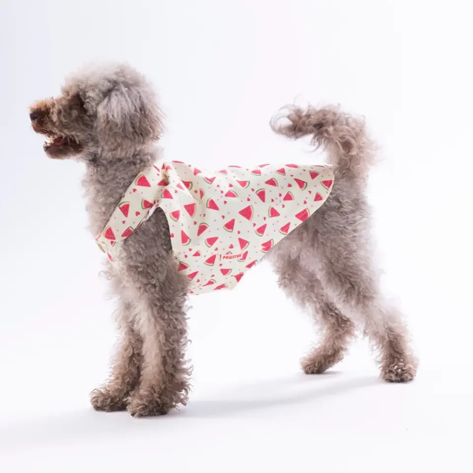 Pawstar Berry Crush Desenli Gömlek