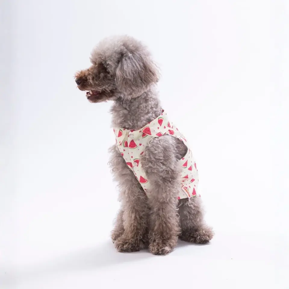 Pawstar Berry Crush Desenli Gömlek