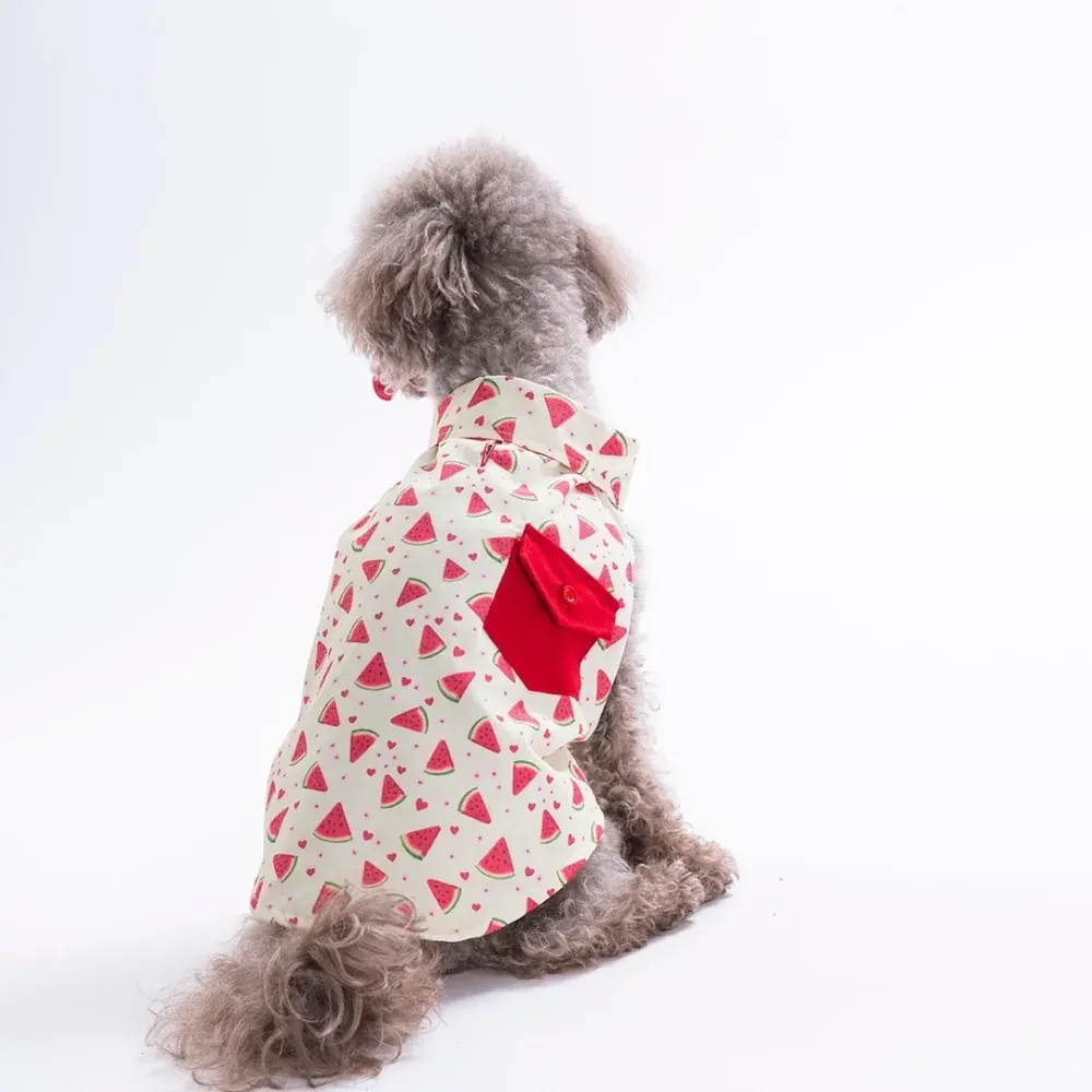Pawstar Berry Crush Desenli Gömlek