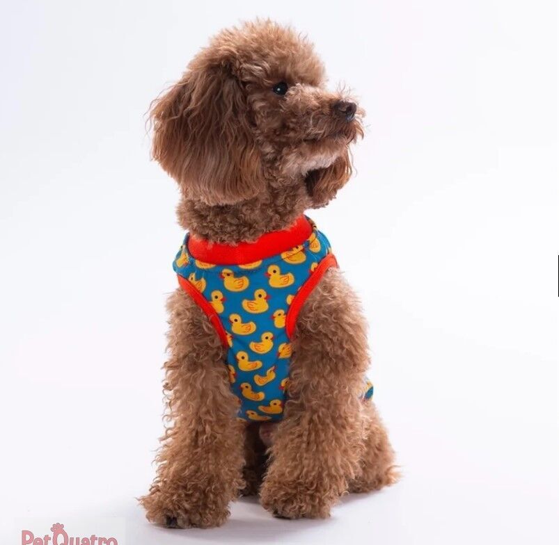 Pawstar Ducks Tişört