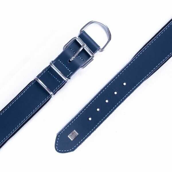 Doggie Çift Kat Deri Köpek Boyun Tasması Royalblue 4x57-65 Cm