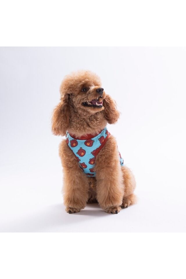 Pawstar Bears T-Shirt