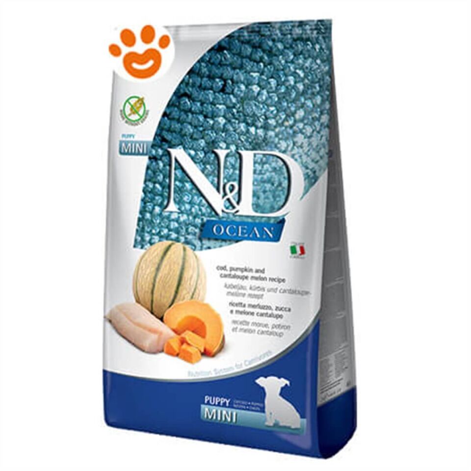 N&D Ocean Balkabaklı Balıklı Kavunlu Küçük Irk Yavru Köpek Maması 7 Kg