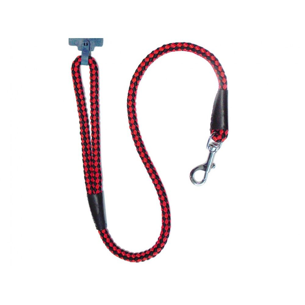 Eastland Gezdirme Halat Küçük