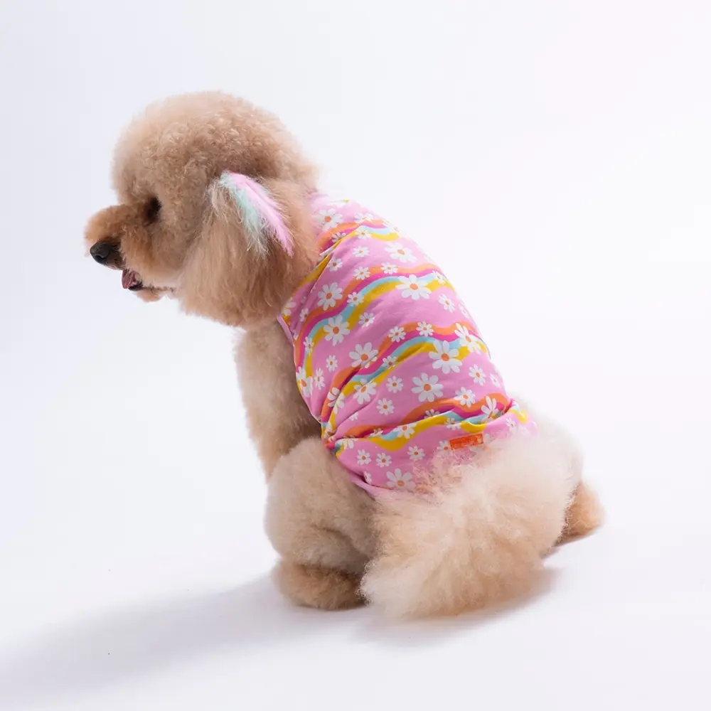 Pawstar Daisy Tişört