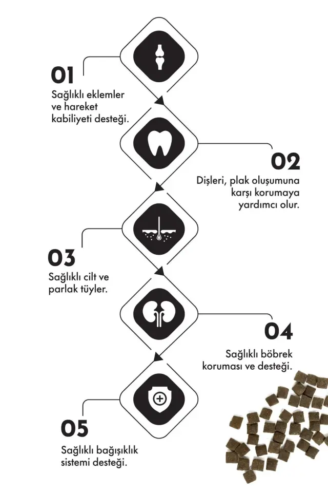 Pro Performance Kuzulu ve Yaban Mersinli Orta ve Büyük Irk Yetişkin Köpek Maması 12 Kg