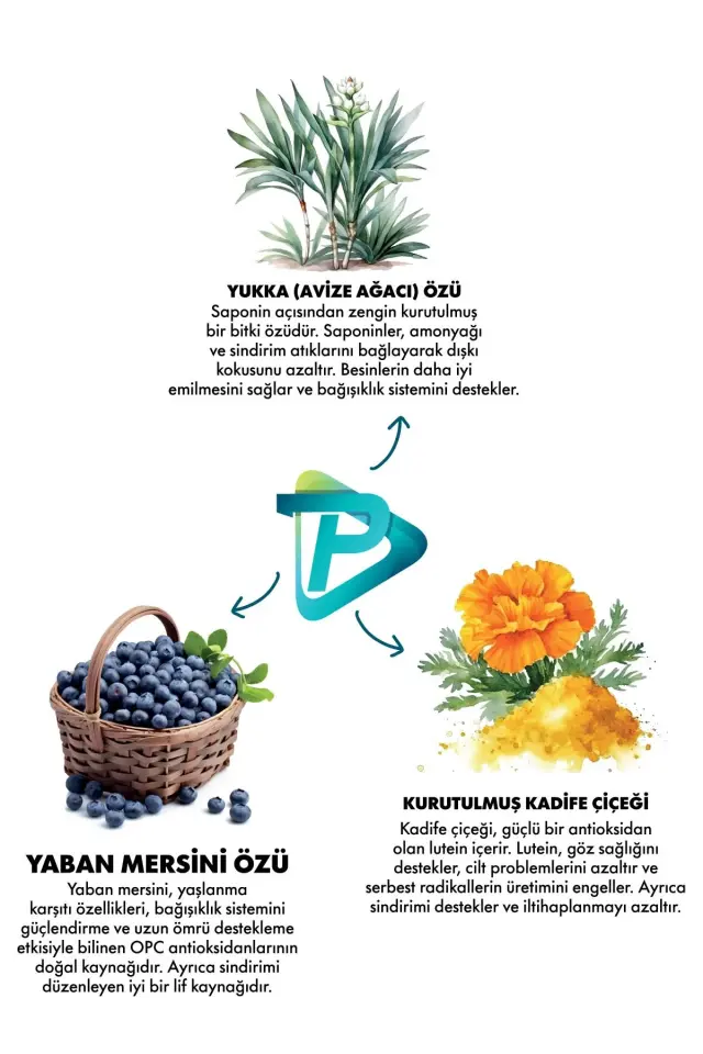 Pro Performance Kuzulu ve Yaban Mersinli Orta ve Büyük Irk Yetişkin Köpek Maması 12 Kg