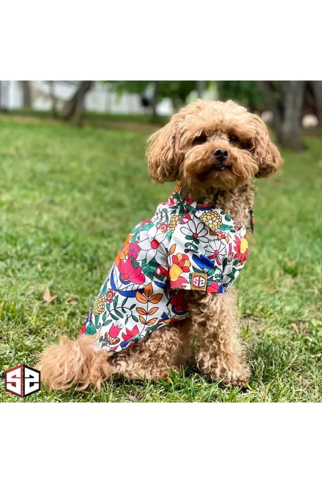 Salya Hawaii Çiçek Desenli Köpek Gömleği - Küçük Irk, 0-15 kg