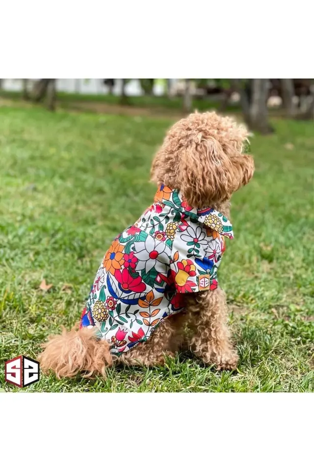 Salya Hawaii Çiçek Desenli Köpek Gömleği - Küçük Irk, 0-15 kg