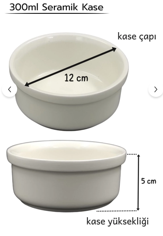Yüksekliği Ayarlanabilir Seramik Kedive Köpek  Mama ve Su Kabı 300 ml x2