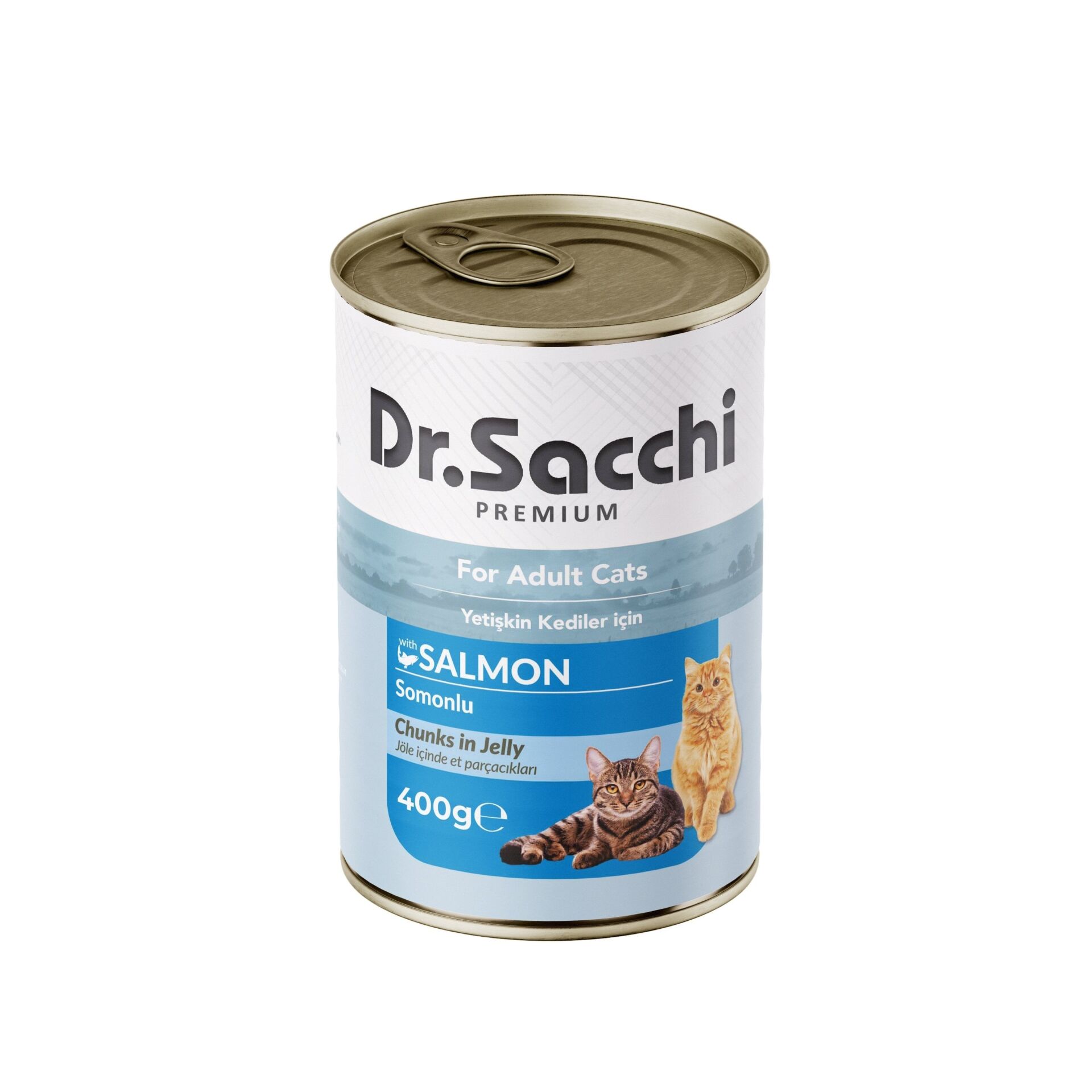Dr. Sacchi Delicious Somonlu Yetişkin Kedi Konservesi 400 g