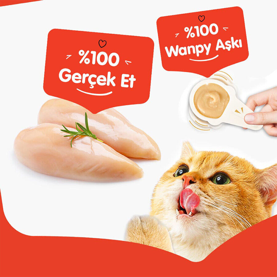 Wanpy Tavuklu 1*16 gr Kaşıklı Kedi Ödül Kreması