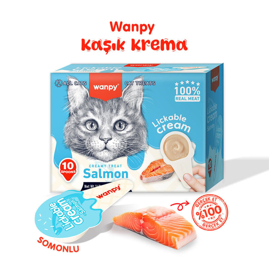Wanpy Somonlu 1*16 gr Kaşıklı Kedi Ödül Kreması