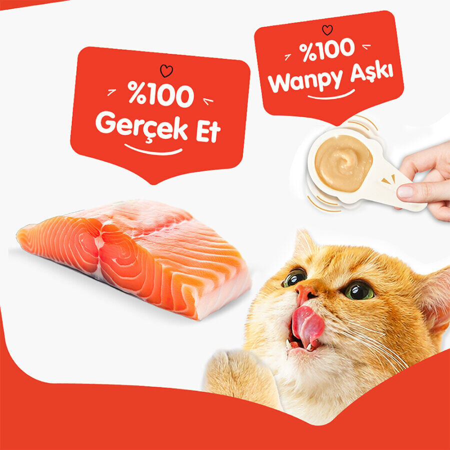 Wanpy Somonlu 1*16 gr Kaşıklı Kedi Ödül Kreması