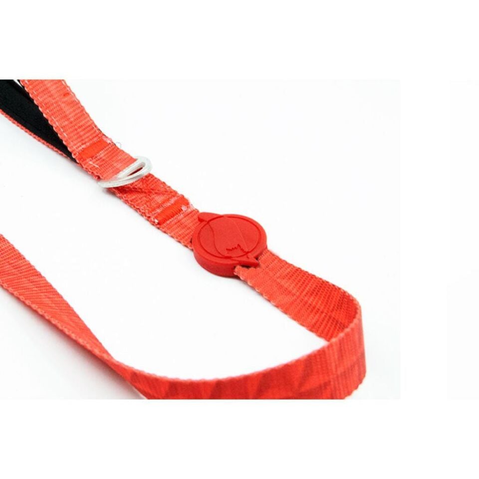 Tailpetz Prism Gezdirme Tasması