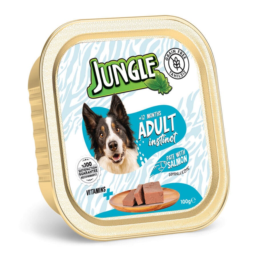 Jungle Köpek 100g Tahılsız Somonlu Pate