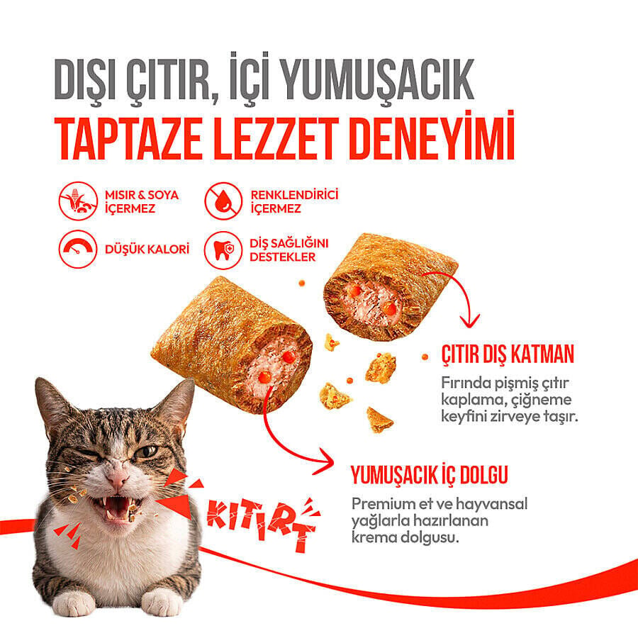 Wanpy Kedi Crunch Ödül Somon & Havyar 60g