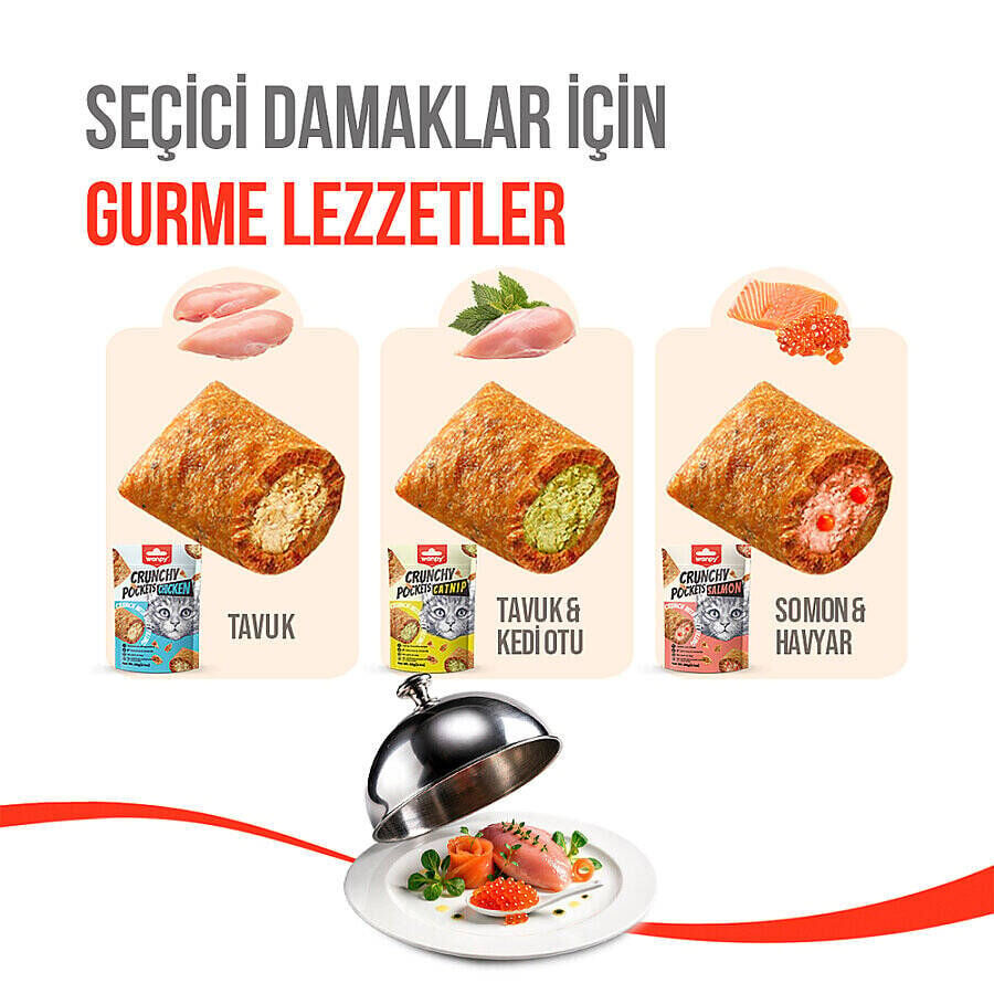 Wanpy Kedi Crunch Ödül Somon & Havyar 60g