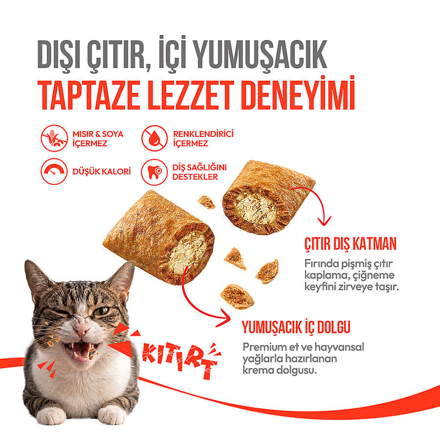 Wanpy Kedi Crunch Ödül Tavuk 60g