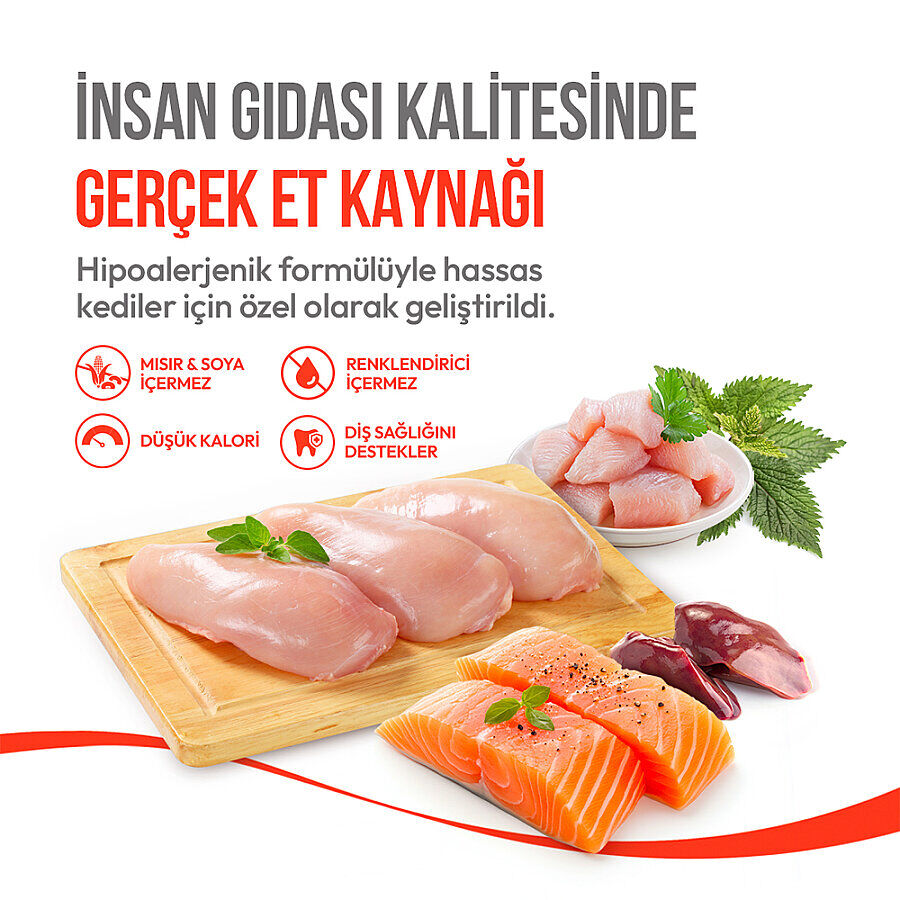 Wanpy Kedi Crunch Ödül Tavuk 60g