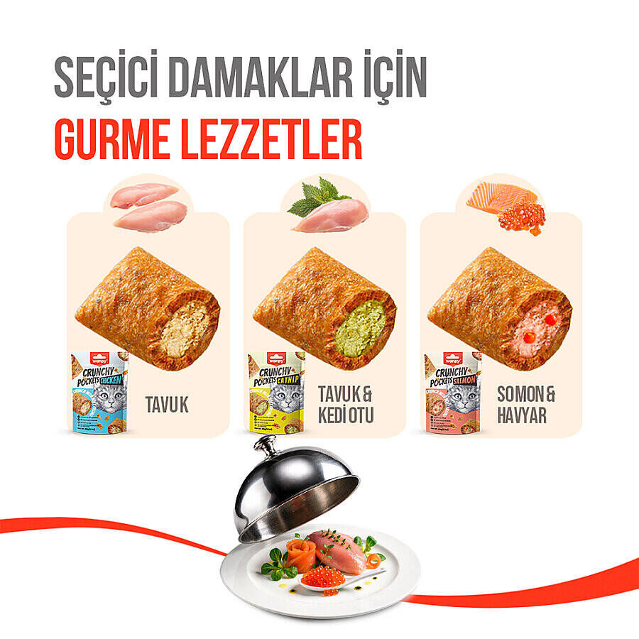 Wanpy Kedi Crunch Ödül Catnipli & Tavuklu 60g
