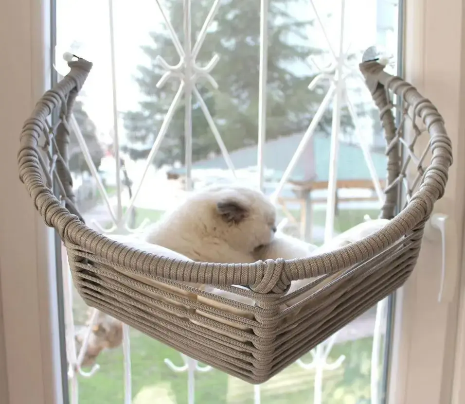 Lepus Hilal Cam Yatak