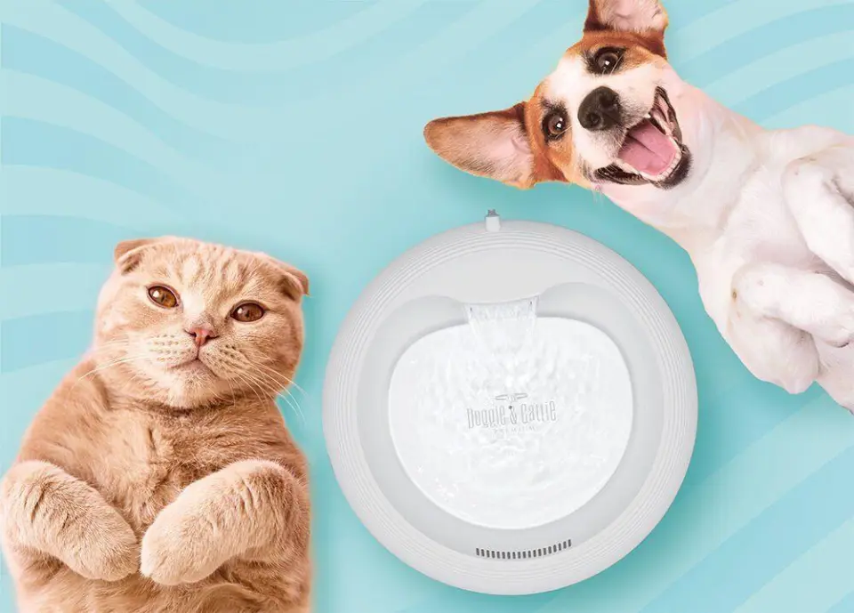 Cattie Kedi ve Köpek İçin Otomatik Su Kabı 2lt